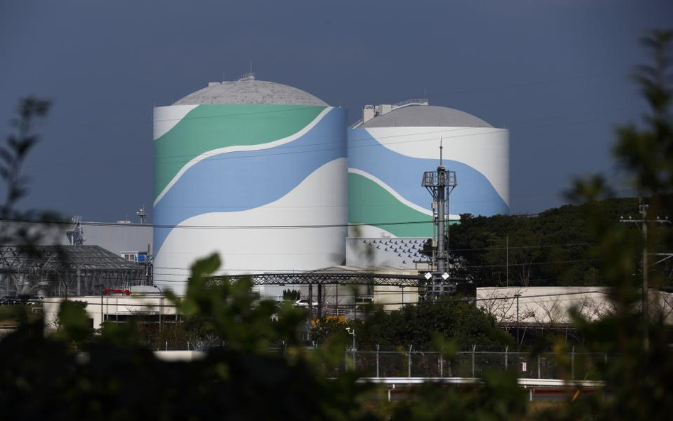 Rocznica Fukushimy nowym świętem w Japonii?