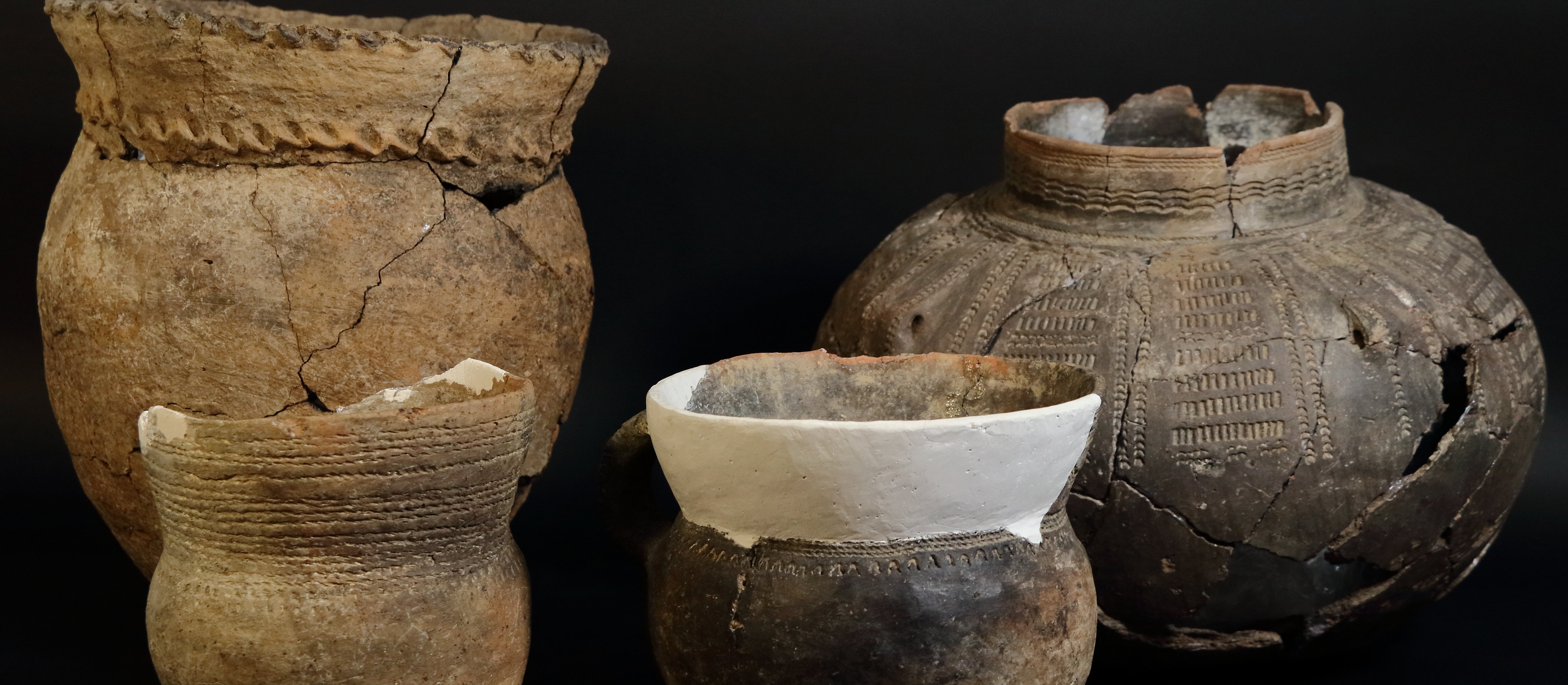 Materiały kultury złockiej z Sandomierza: nowe opracowanie i jego znaczenie dla badań nad pradziejami regionu