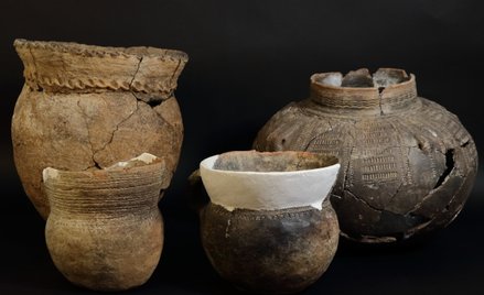 Naczynia kultury złockiej ze zbiorów MZS fot. S.Mroczka