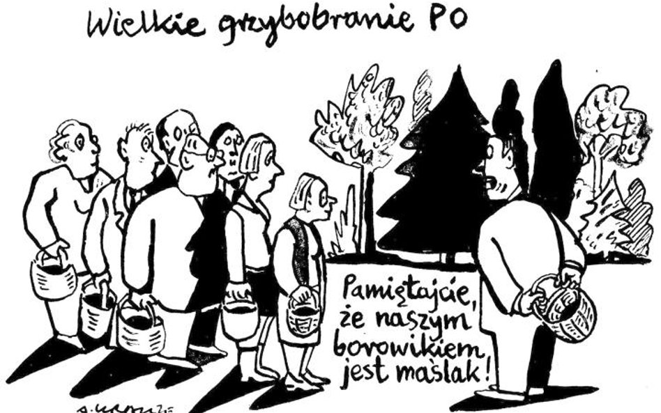 Komentarz rysunkowy