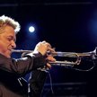 Chris Botti