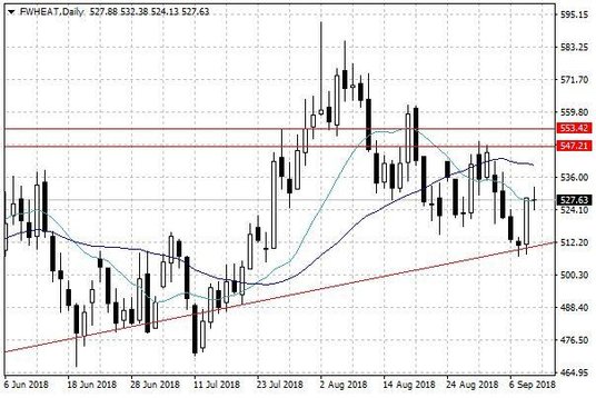 Notowania pszenicy w USA – dane dzienne