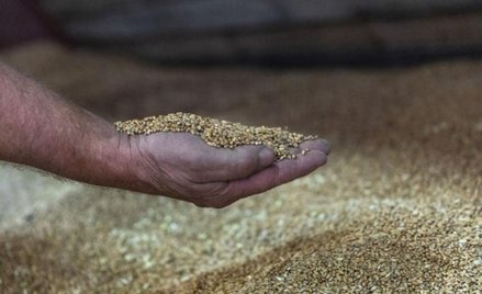 The Financial Times. Trzeba pomóc rolnictwu