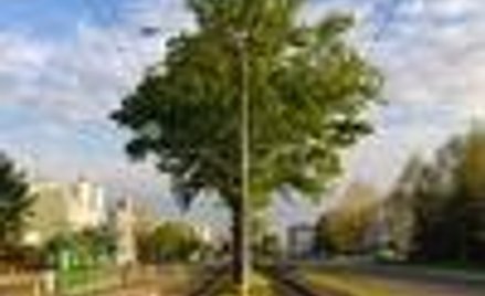 Mazury: cud natury i internet