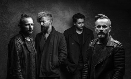 Organek, fot. Andrzej Dragan