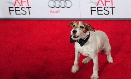 Uggie, "Artysta" (The Artist), 2011