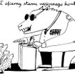 Komentarz rysunkowy