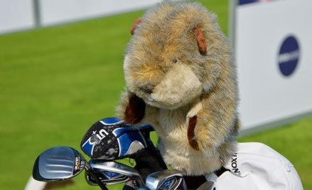 Rozpoczął się sezon golfowy w Polsce