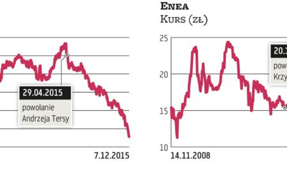 Roszady w zarządach Energi i Enei