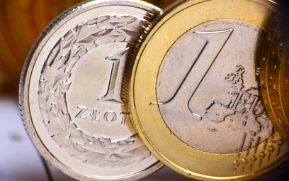 Euro i złoty szukają dna przeceny