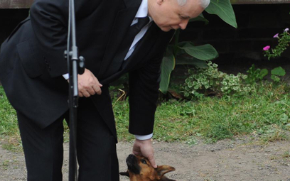 Nie jest tajemnicą, że prezes PiS jest miłośnikiem zwierząt (w domu ma dwa koty). Na zdjęciu z psem 
