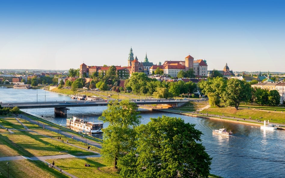Wszystkie ważne inwestycje miejskie w Krakowie będą musiały przejść audyt dotyczący zieleni