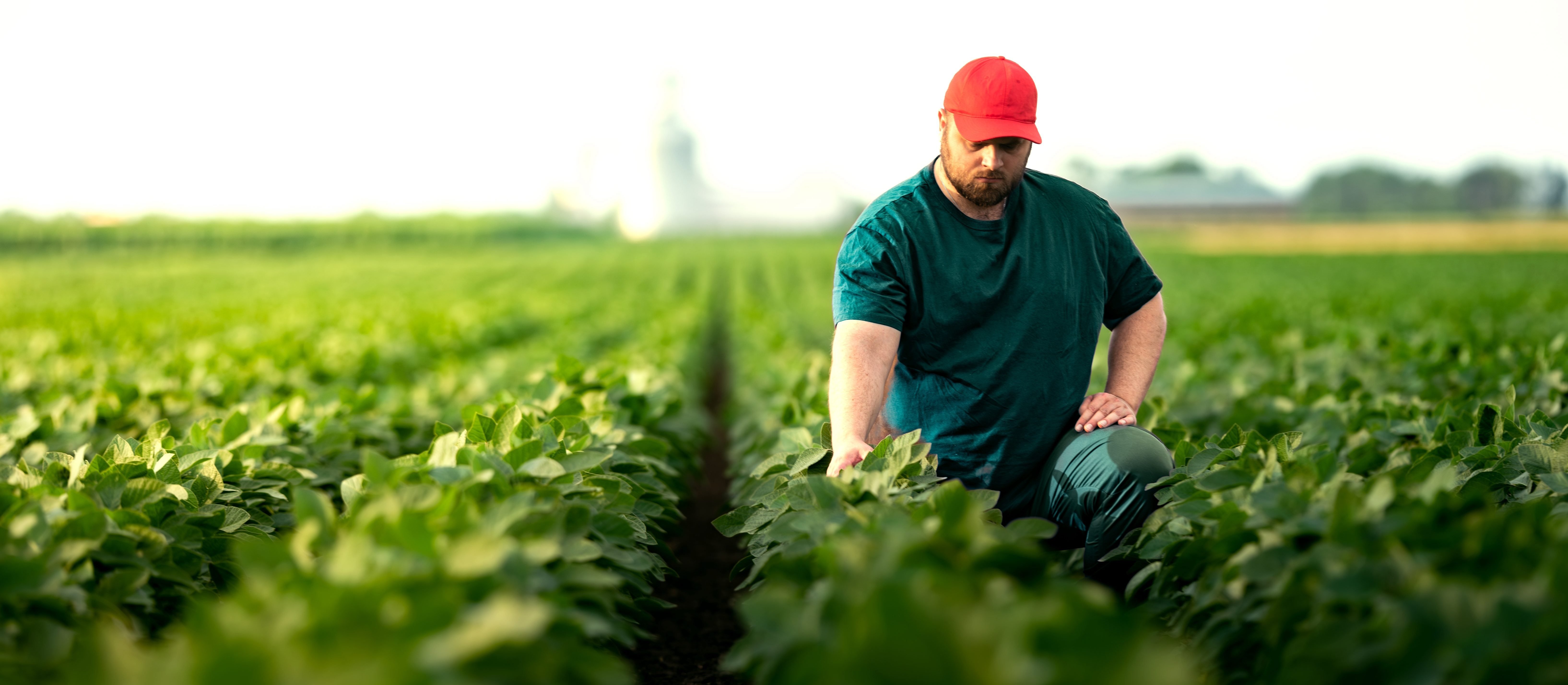 Czy farmerzy boleśnie odczują chiński cios?