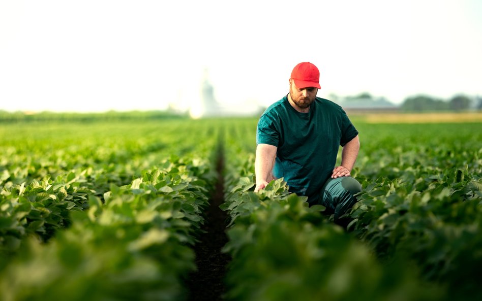 Czy farmerzy boleśnie odczują chiński cios?