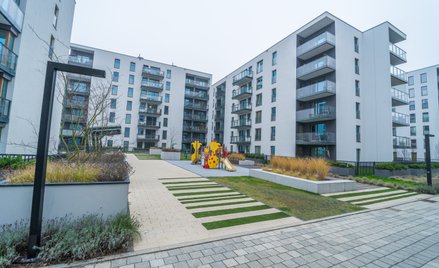 Przepisy przeciwko patodeweloperce w negocjacjach