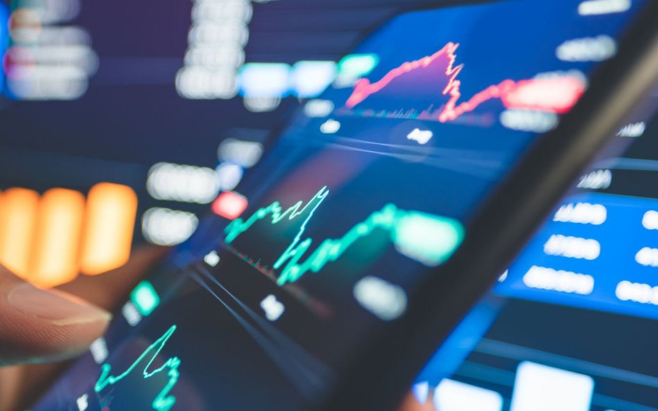 Niedocenione krajowe spółki na celowniku analityków