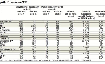 Zyski TFI spadały kolejny rok. Część firm ma problemy z rentownością