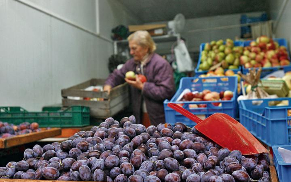 Najwięcej przeciwutleniaczy zawierają warzywa i owoce