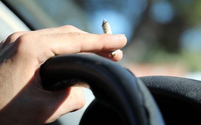 Legalizacja marihuany w Niemczech. Czy można usiąść za kierownicą po wypaleniu jointa?