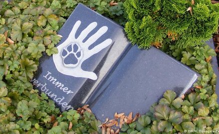 Niemcy: na wieczny spoczynek z czworonogiem