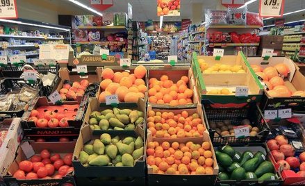 Dino nie traci mocnego tempa