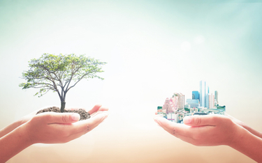 Jakość życia czy zrównoważony rozwój miast?
