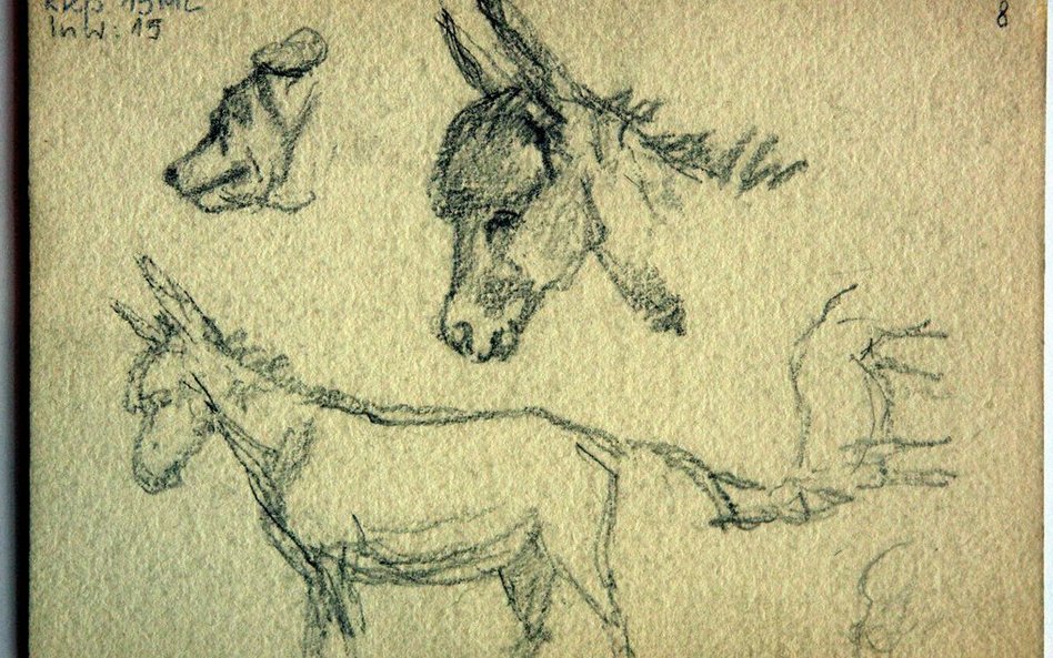 Rysunki Henryka Sienkiewicza