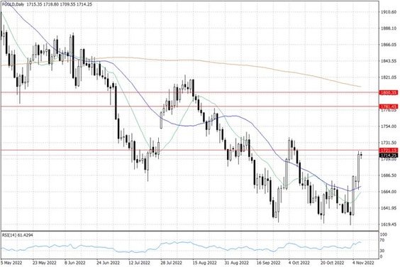 Notowania złota w USA – dane dzienne