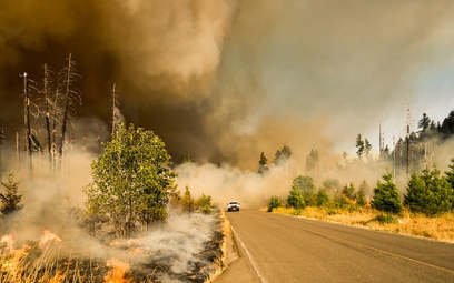 Ostatnie lata w USA to coraz częstsze i coraz gwałtowniejsze pożary lasów.