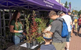 Sadzonki za elektroodpady. W sobotę wymiana na Targówku i w Śródmieściu