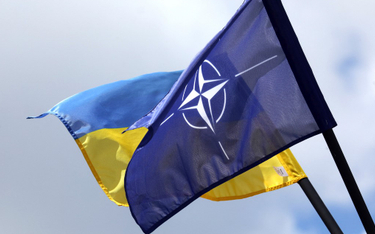 Flagi NATO i Ukrainy w Wilnie na kilka dni przed szczytem sojuszu