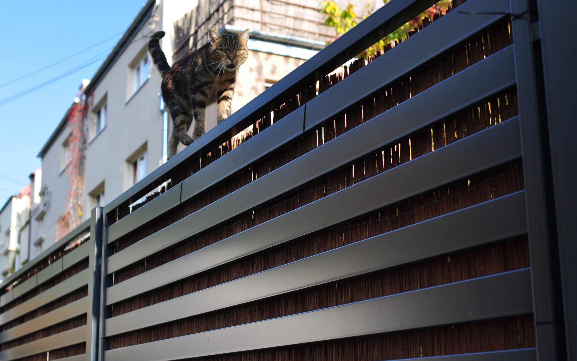 Sąsiad chce zwrotu pieniędzy za płot? Ważne są dwie kwestie