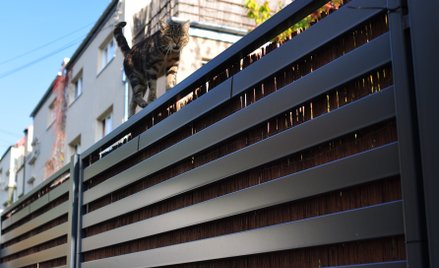 Czy sąsiad może żądać zwrotu pieniędzy za ogrodzenie? Oto, co mówią przepisy