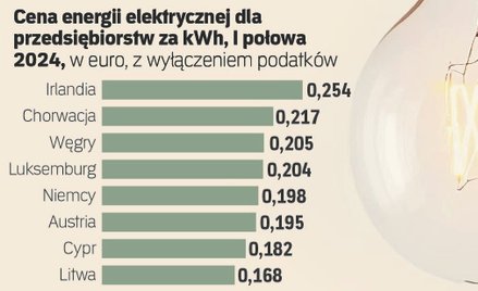 Polska proponuje unię energii elektrycznej