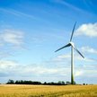 Marszałkowie województw chcą wstrzymania budowy farm wiatrowych do czasu prawnego uregulowania zasad