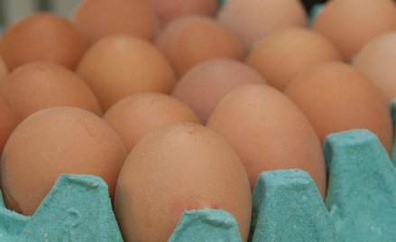 Jaja z antybiotykiem znalazły się w sprzedaży w kilku popularnych sieciach handlowych.