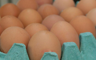 Jaja z antybiotykiem znalazły się w sprzedaży w kilku popularnych sieciach handlowych.