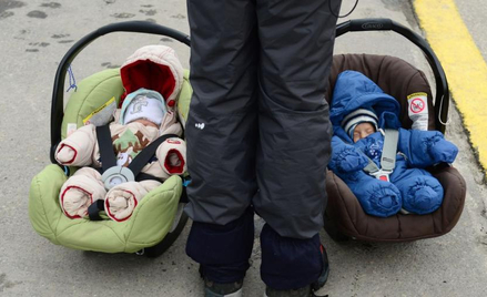 500+: rośnie liczba urodzeń w Polsce