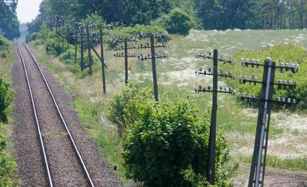 Tory za pieniądze marszałków