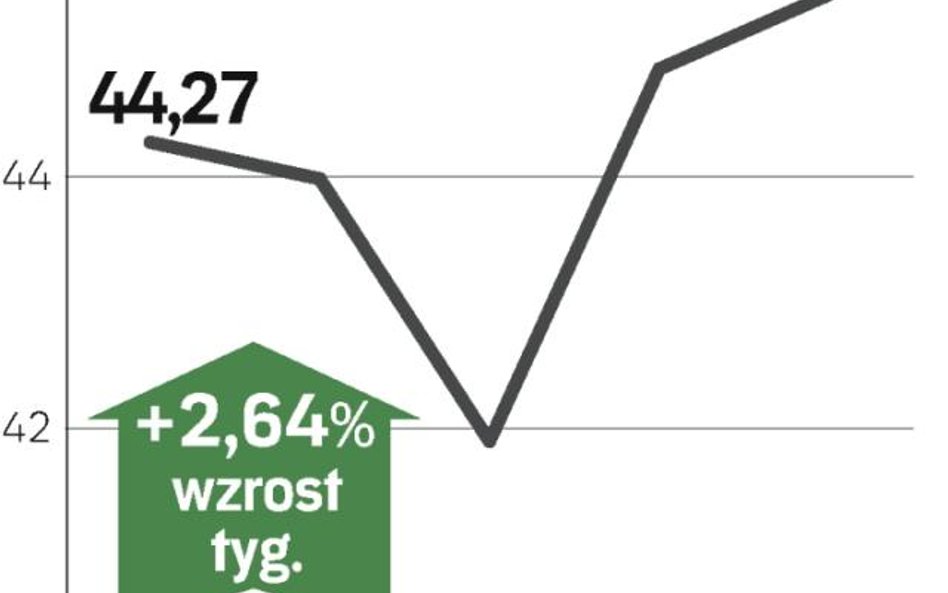 Pierwsze oznaki równowagi