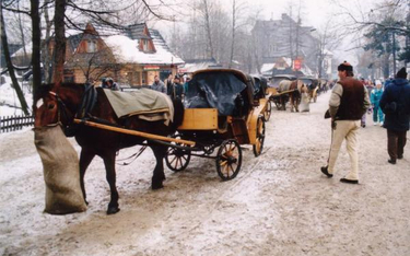 Sezon zimowy trwa, a hotele świecą pustkami