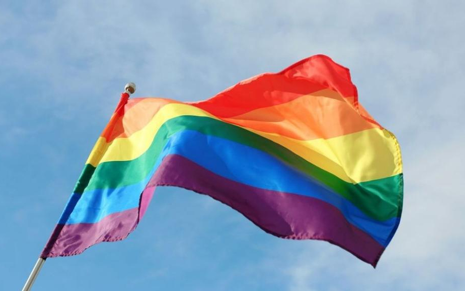 Młodzież Wszechpolska przeciwko LGBT