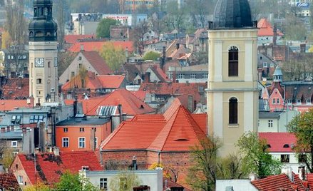 Być może za kilka lat panoramę Zielonej Góry będzie można obejrzeć z wieży widokowej na Wzgórzach Pi