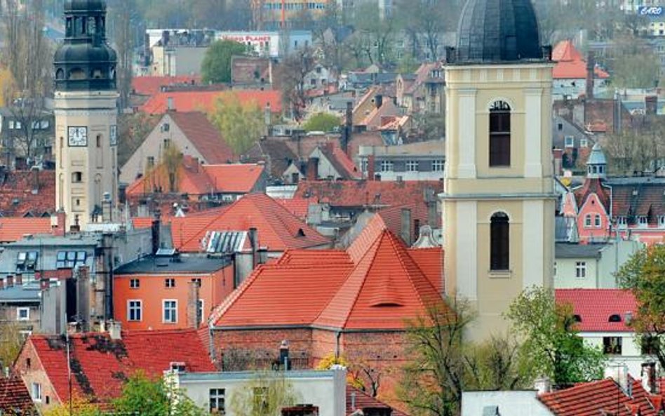 Być może za kilka lat panoramę Zielonej Góry będzie można obejrzeć z wieży widokowej na Wzgórzach Pi