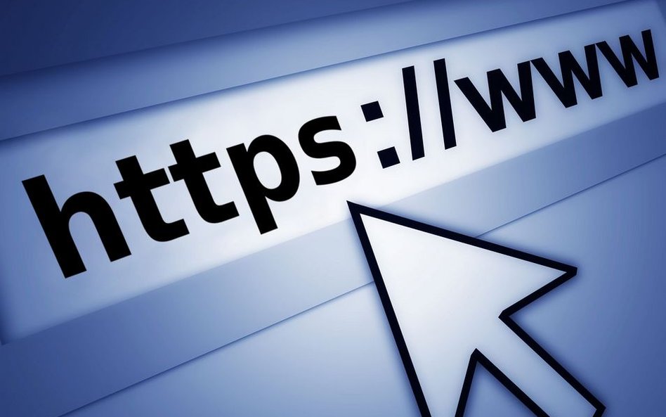 Milion dolarów za Internet
