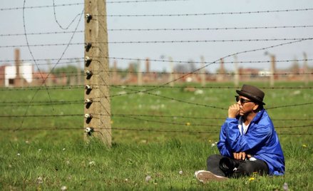 "Polacy współpracowali z nazistami". Ambasada chce przeprosin