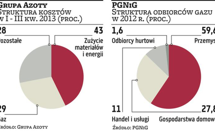 Ceny gazu uderzą w spółki nawozowe