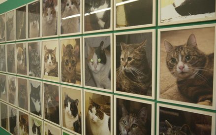 Anna Jermolaewa, Dobre czasy, złe czasy, 2007, fotografie, wydruki fotograficzne, dzięki uprzejmości