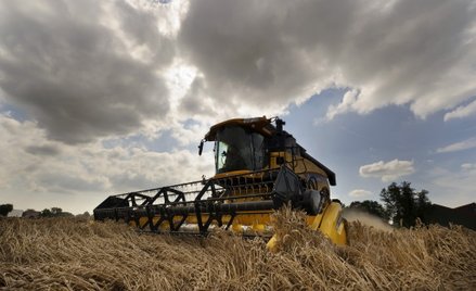 Irlandzcy rolnicy chcą kupić gospodarstwo w Polsce