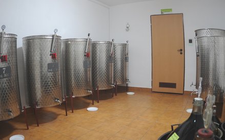 Winnica Wiarus w Podkarpaciu - piwniczka